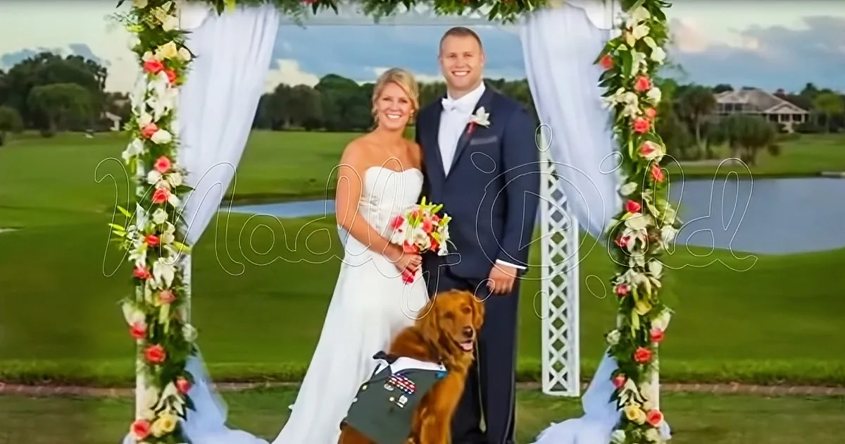 Golden Retriever Is the Cutest Best Man a Wedding Has Ever Seen