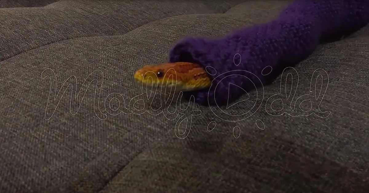 Snake Enjoys His New Christmas Sweater During the Holidays