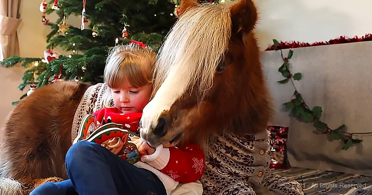 Little Girl and Animal Friends Have Their Own Christmas Party