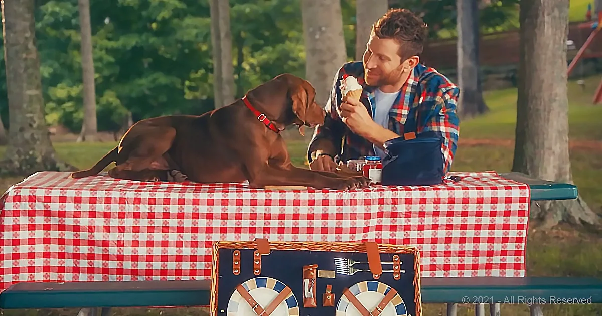 Brett Eldredge's 'Love Someone' Just Got a Video Remake for Dog Lovers