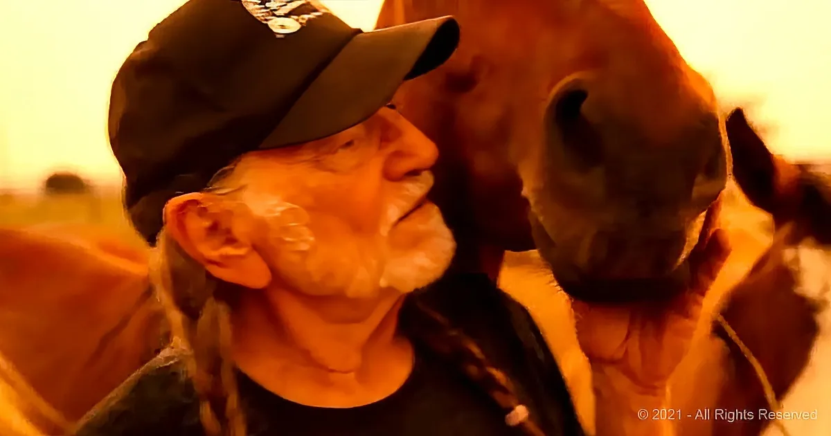 Willie Nelson Offers a Tearful Tribute to the Four Legged Hears of Past Wars