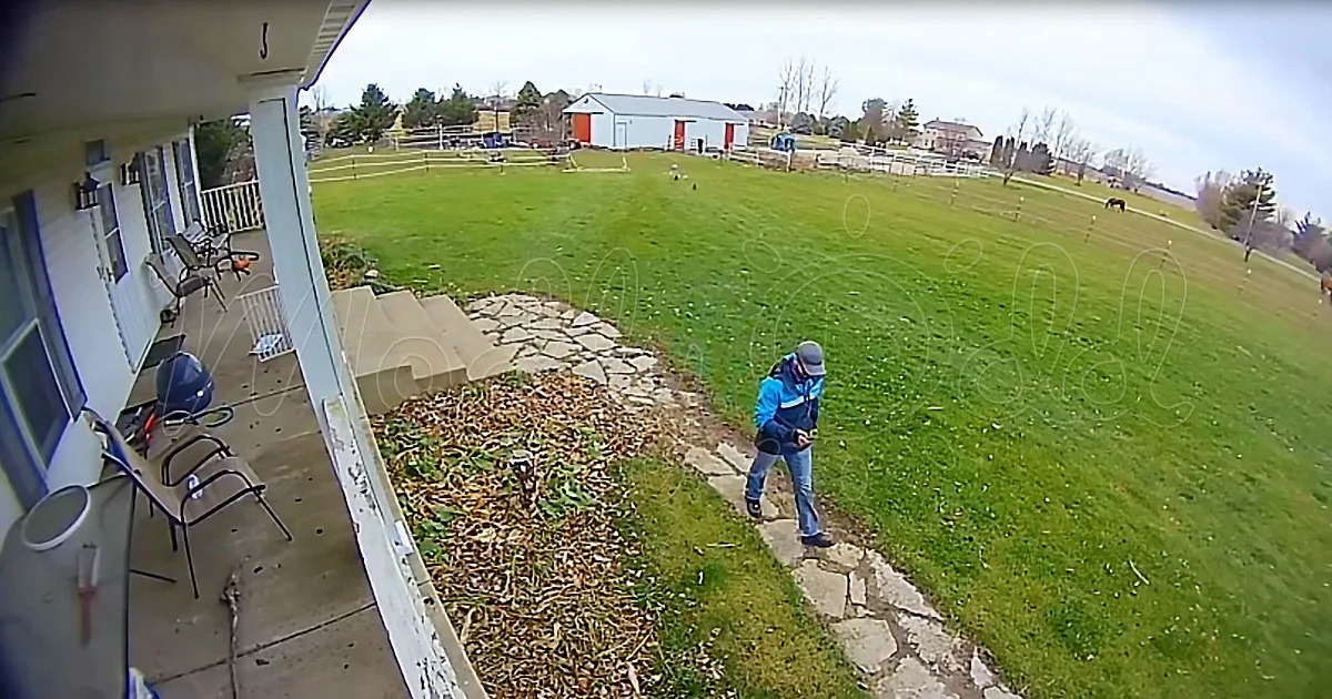 Amazon Driver Chased Away by Flock of Angry Hens