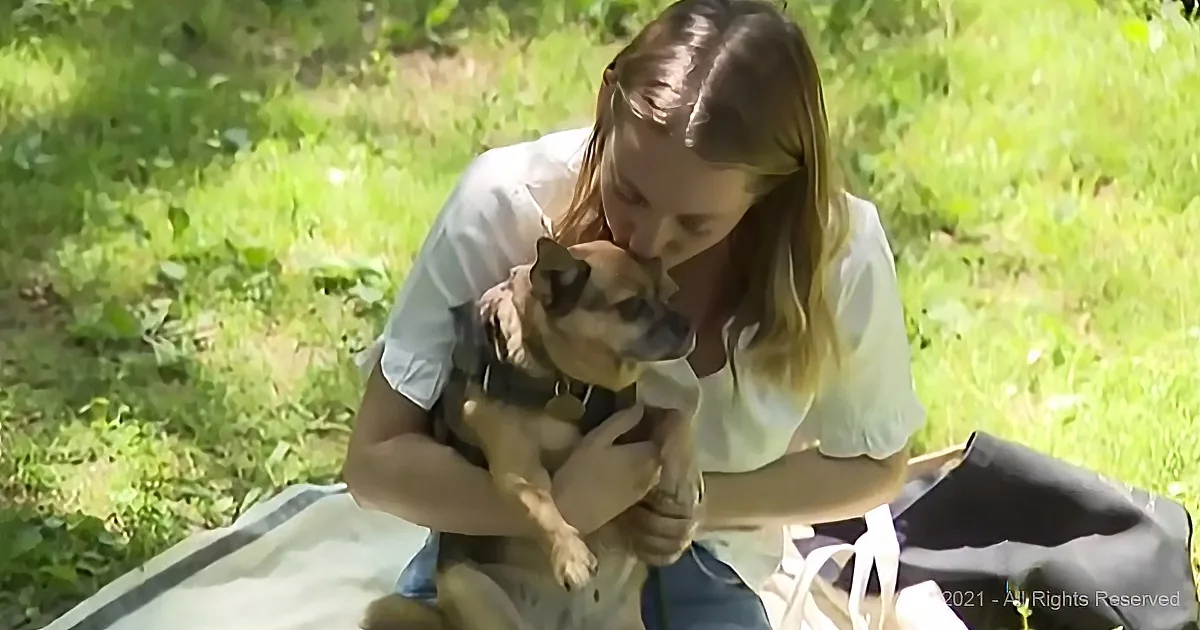 Owner of Stolen Dog Sees Couple Walking It, Steals It Back