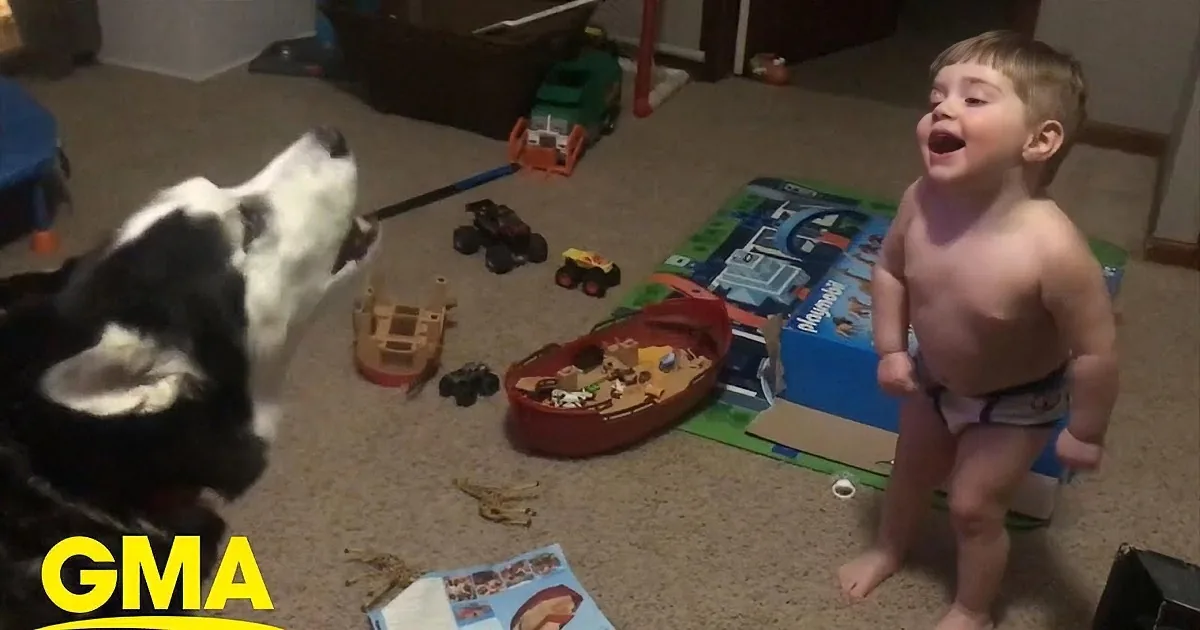 Toddler Copies Pet Husky's Howl in Adorable Video