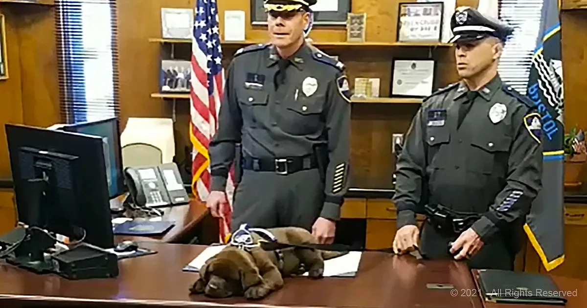 Two police officers in uniform stand behind a desk with a dog's hat and a computer.