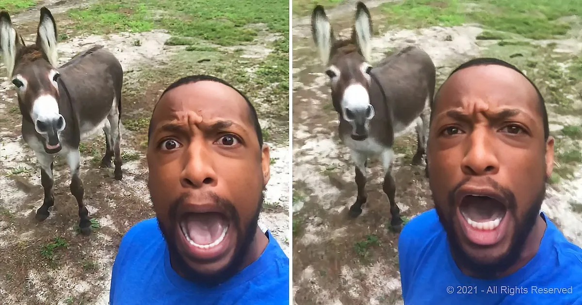 Donkey and South Carolina Minister Perform a Hilarious Duet