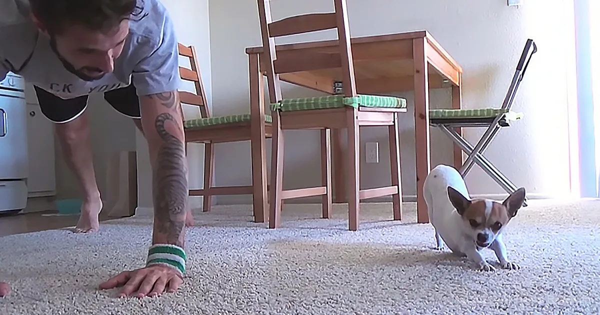 Yoga Instructor Dog Shows Dad How It Should Be Done