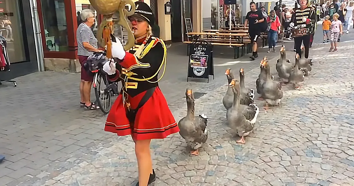 Marching Geese Band Brings Positivity and Smiles With Parade