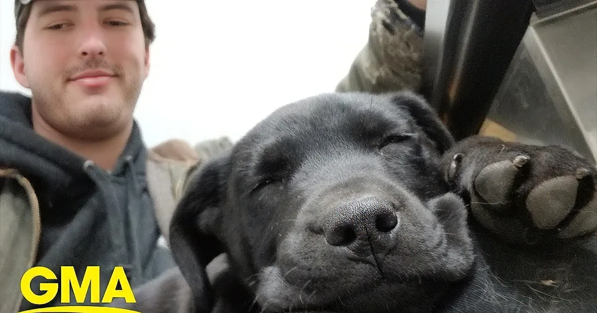 Deaf Man Adopts a Deaf Rescue Puppy and Now the Puppy Understands Sign Language