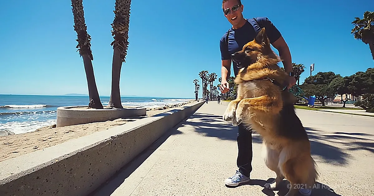Rescue Dog Who Spent Years Chained Barks for Joy Upon Seeing the Ocean for the First Time