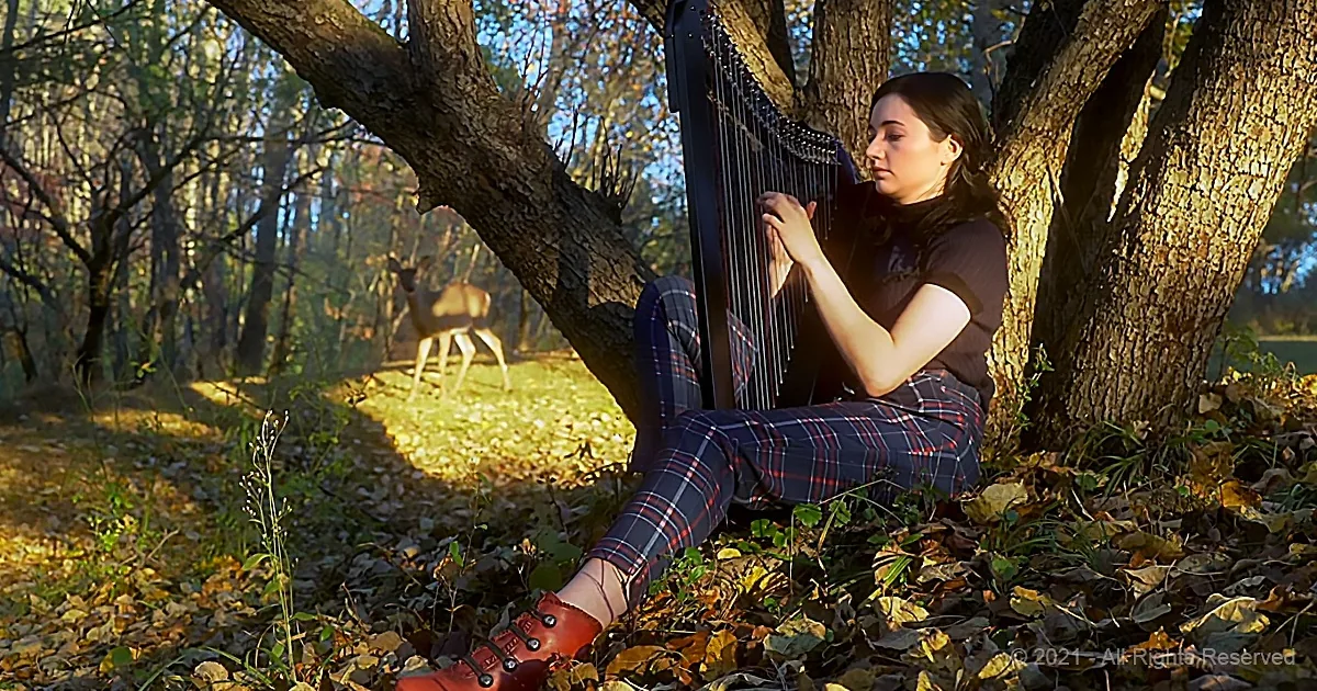 Young Woman Plays 'The Sound of Silence' in the Woods and the Deer Cannot Resist Its Beauty