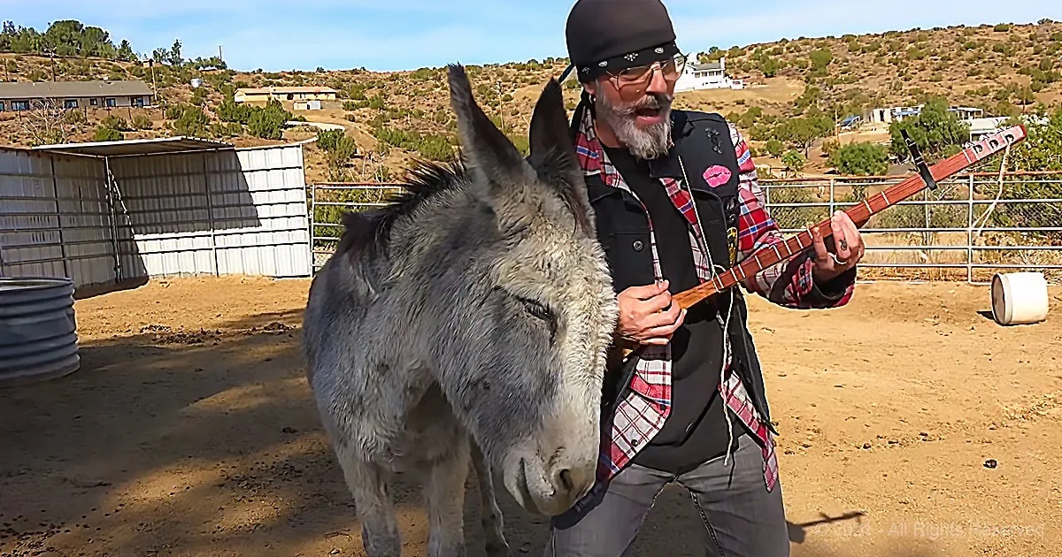 A Donkey Named Hazel Adores Her Daddy... and the Beatles