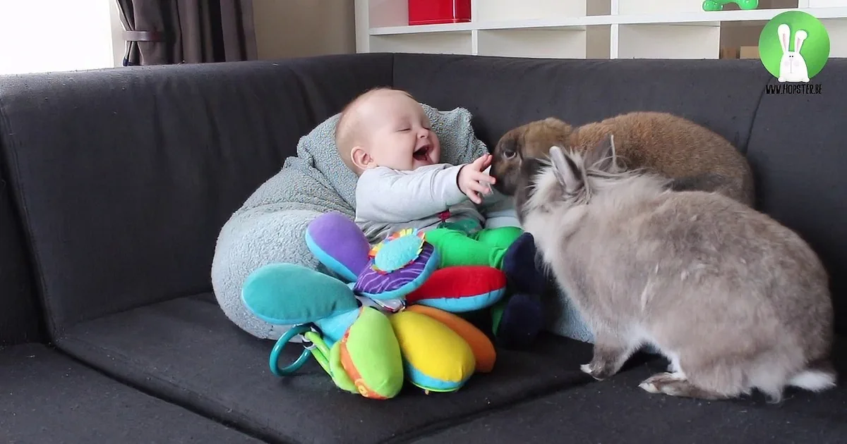 Baby and Bunnies Are Having the Time of Their Lives