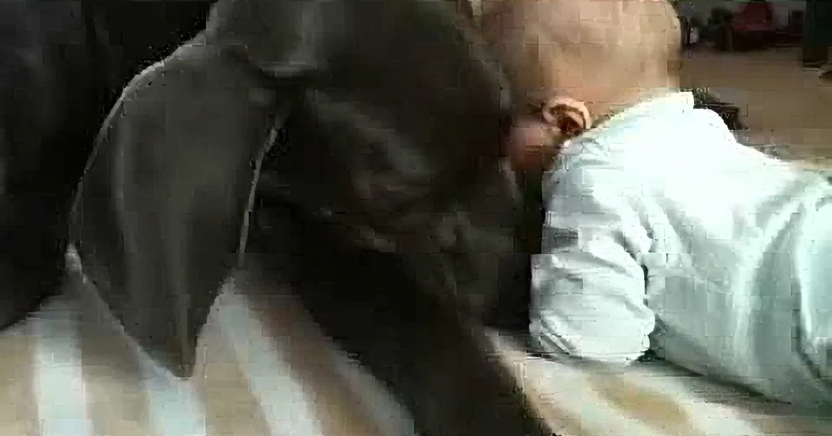 Great Dane Cuddles With Baby Sister and This Is Why We Love These Dogs
