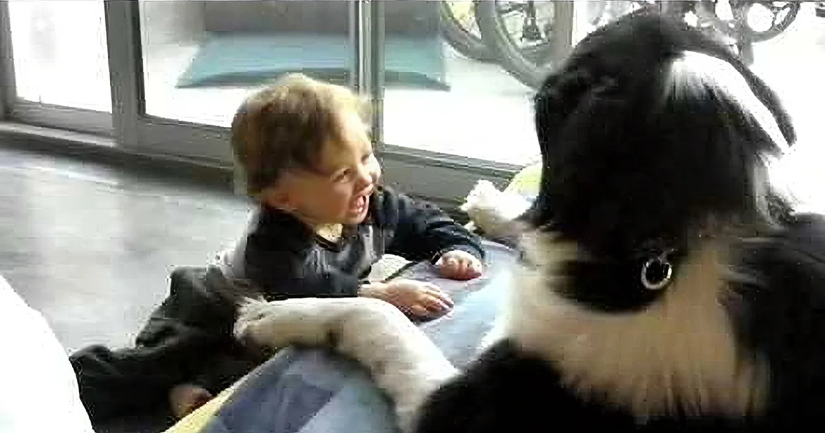 Giggling Tot and His 'Nanny Dog' Will Show You What Pure Joy Looks Like