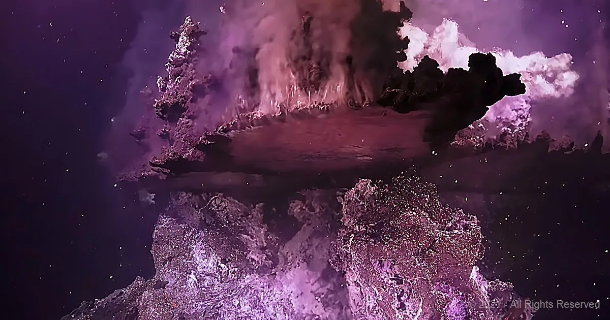 Strange Alien-Like Formation Stuns Deep Sea Researchers