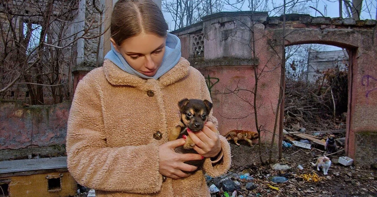 Abandoned Puppy Finds Love and Shelter Among Cat Colony