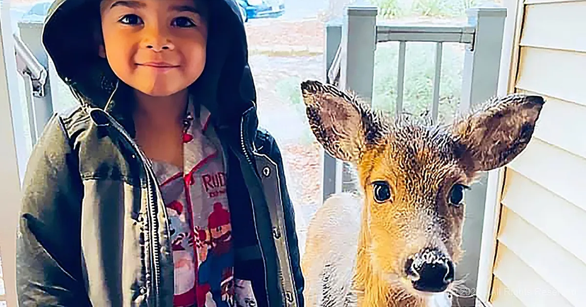 A child in a hoodie smiles next to a fawn on a porch.