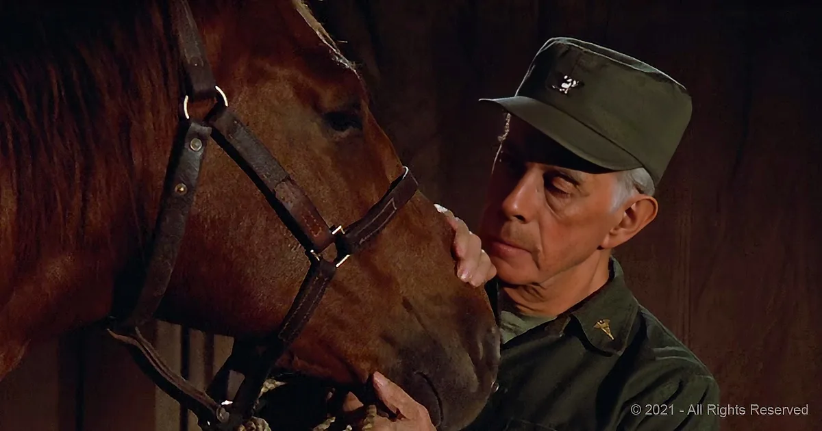 A man in military attire pets a brown horse with a bridle, both appearing calm and close.