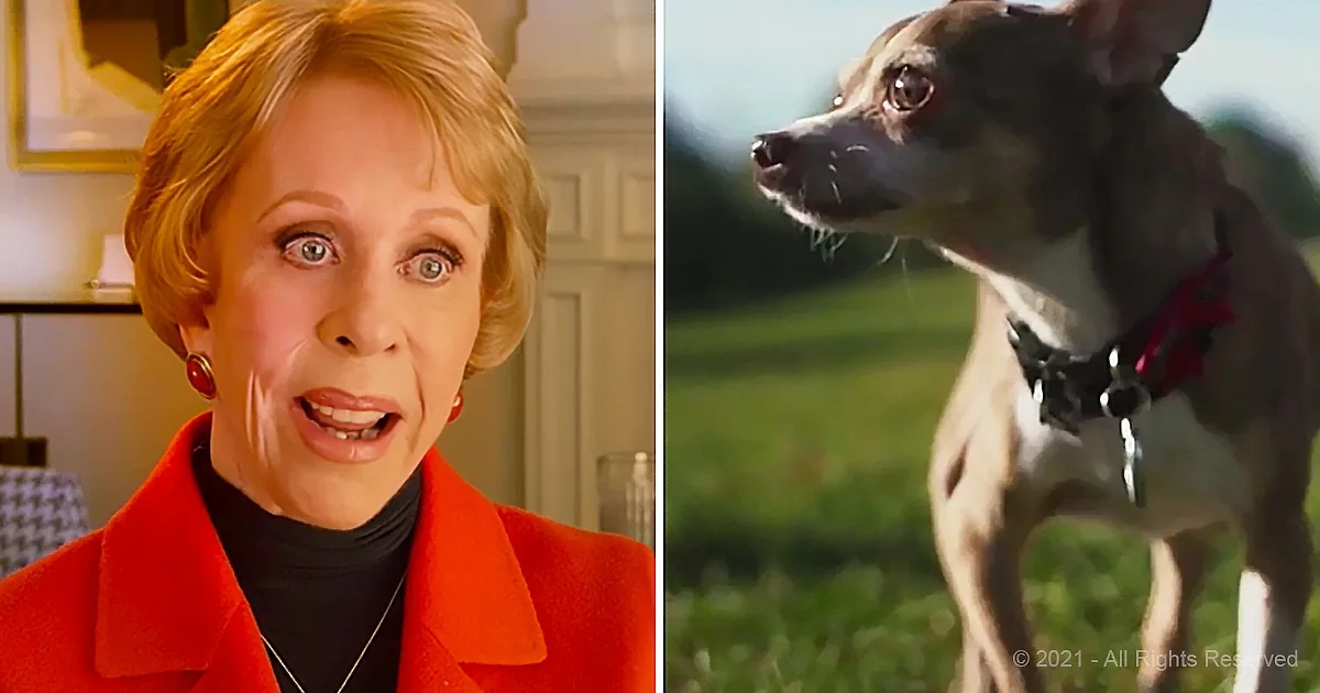 A woman in a red coat and a dog with a red collar are featured in the image.