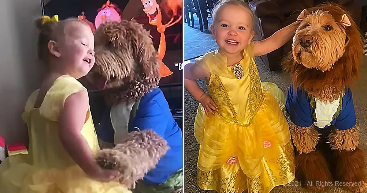 A young girl in a yellow dress is interacting with a dog dressed as the Beast from Beauty and the Beast.