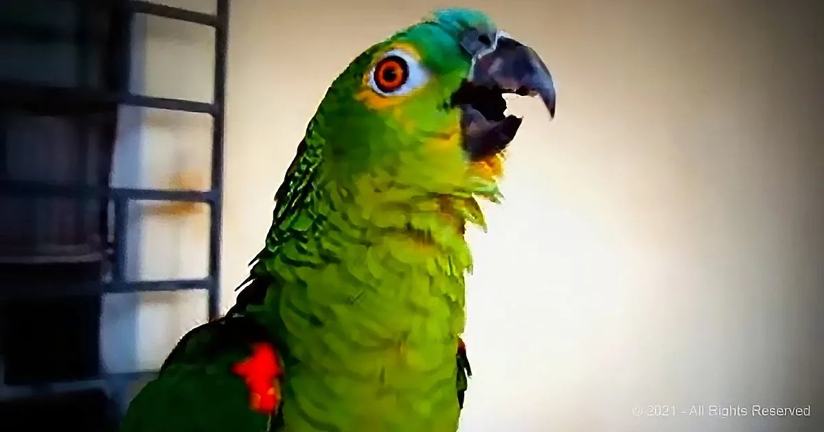 A vibrant green parrot with a red patch on its wing and a sharp beak is the main subject.