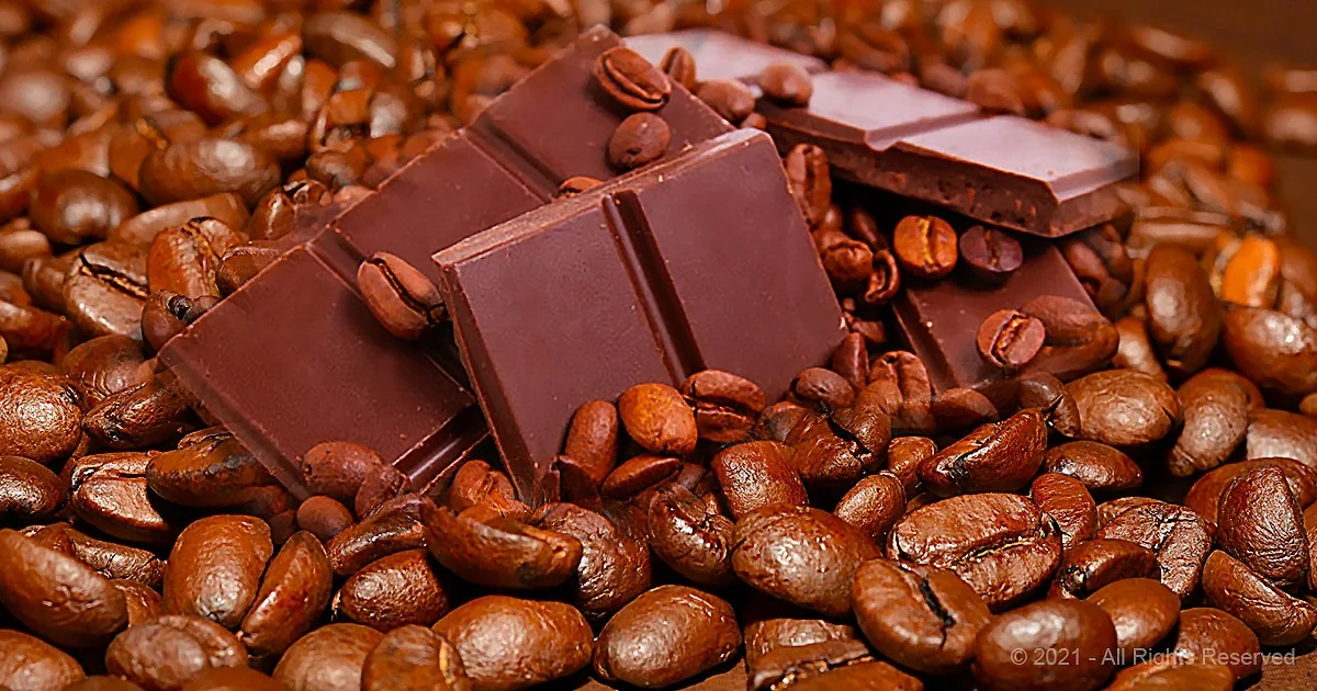 Chocolate and Coffee Combo Makes You Smarter, Younger
