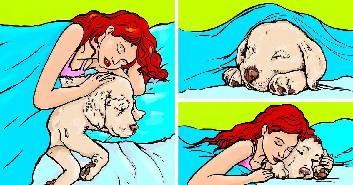 You Can Stop Believing These 17 Popular Pet Myths