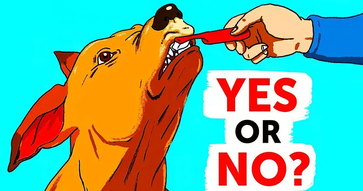 Stop Yourself From Doing Any of These Things to Your Dog