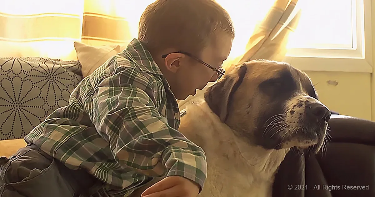 A Tender Story About a Special Boy and His Three-Legged Great Dane