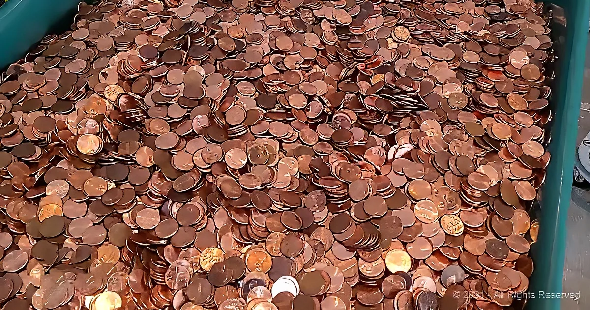 A large pile of shiny, reddish-brown pennies is scattered in a blue container.