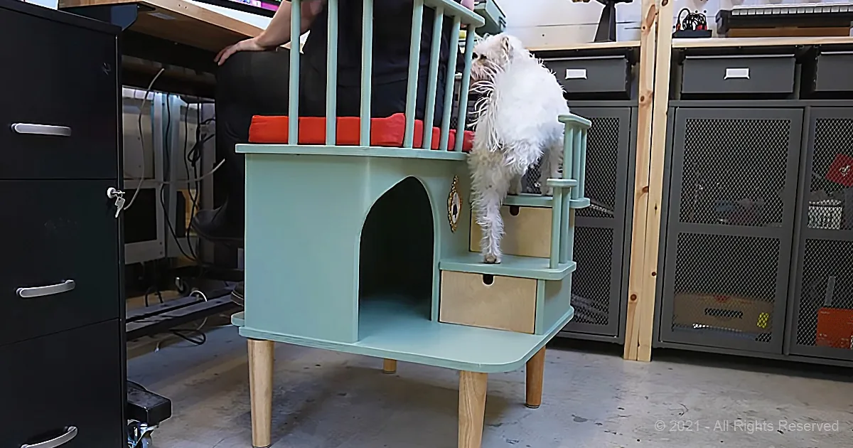 A fluffy white dog climbs a mint green cat tree in a cluttered room.