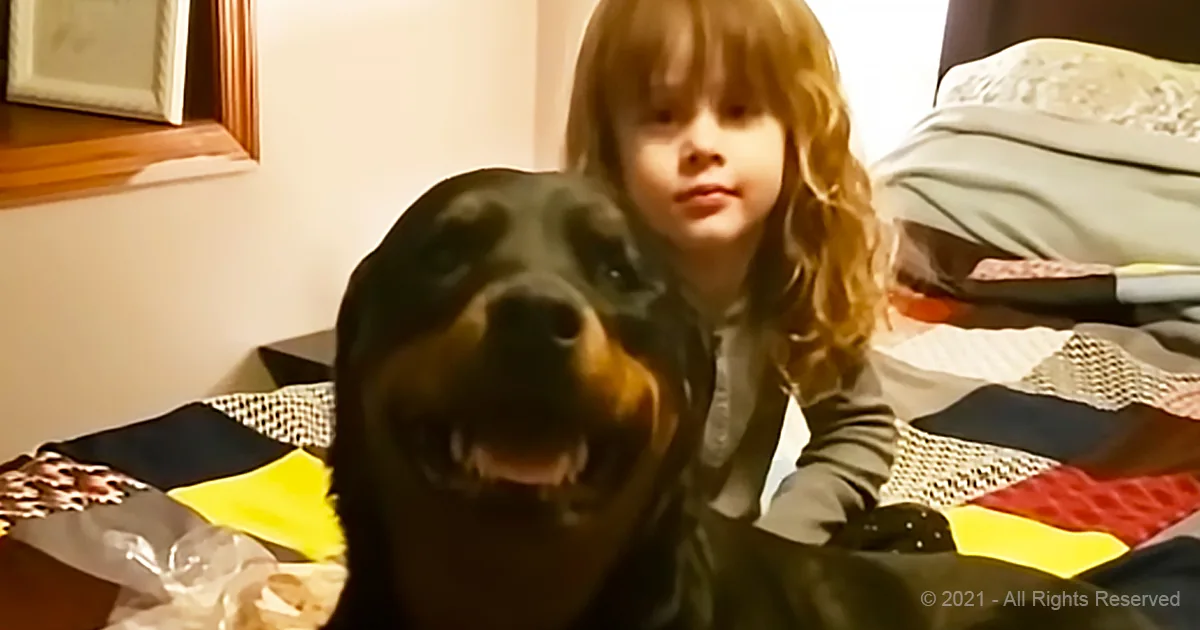 A young girl with long hair sits on a bed with a black and brown dog, both looking at the camera.
