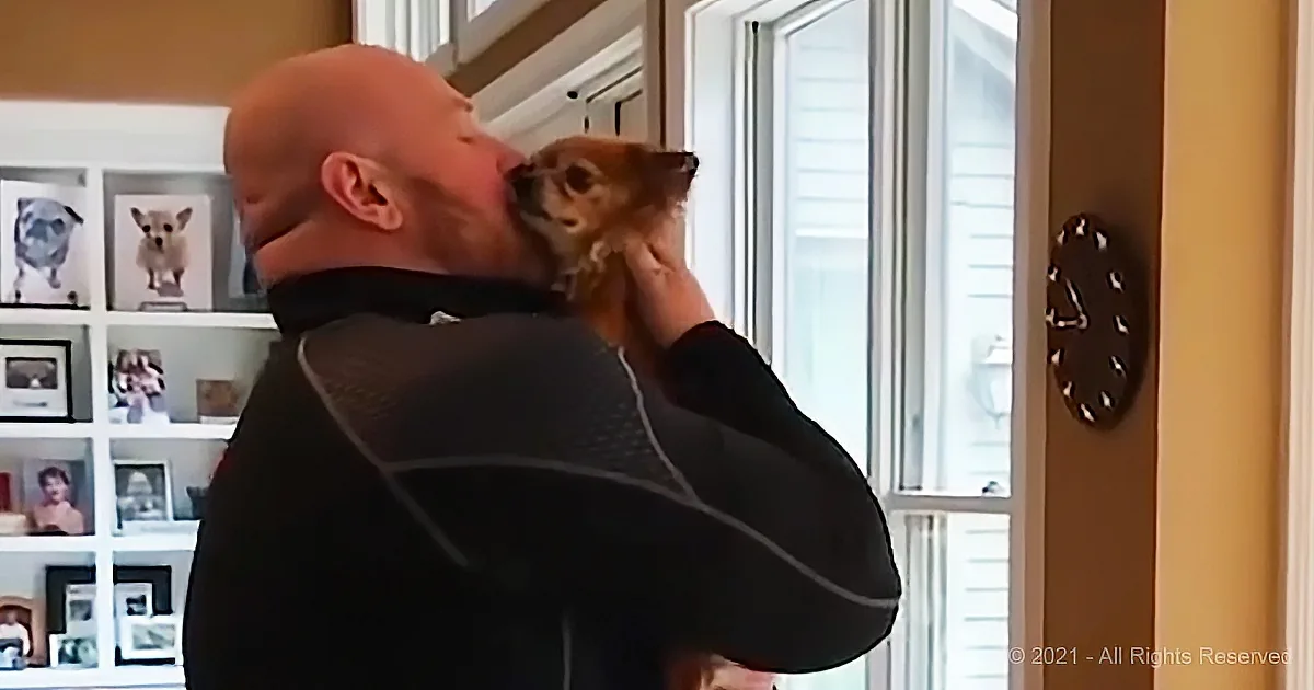 A man in a black jacket is holding and kissing a small dog indoors near a window.