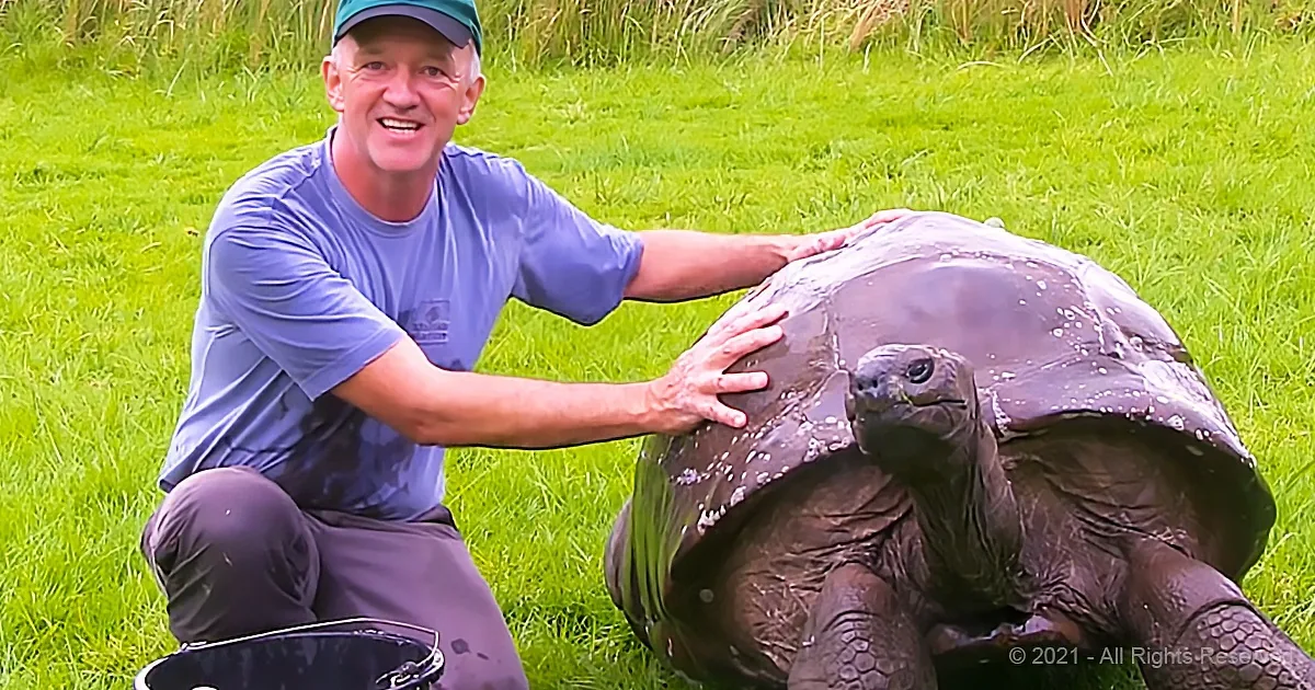 189-Year-Old Senior Tortoise Enjoys a Warm Bath