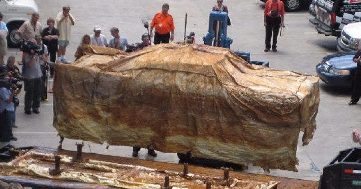 This Brand-New Car Was in Lying Underground for 50 Years