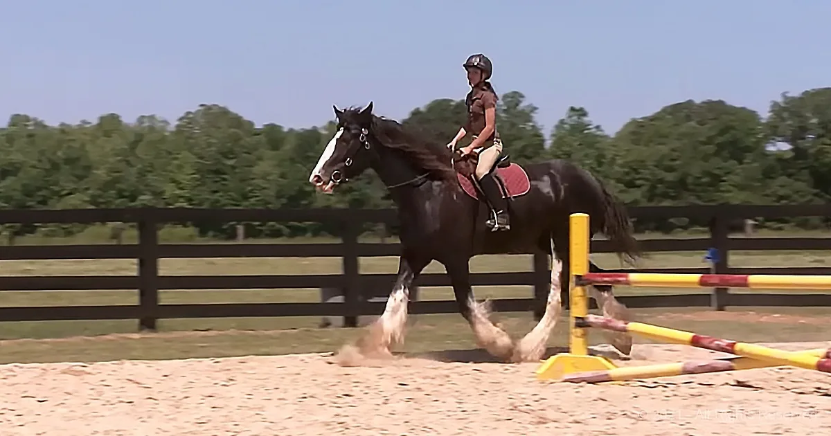 A rider on a black horse with white markings jumps over a yellow and red obstacle in a sandy arena.
