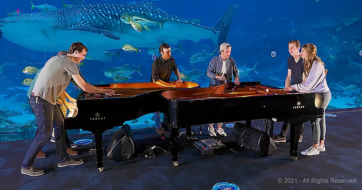 Siblings Cover 'Under the Sea' in Enchanting Performance