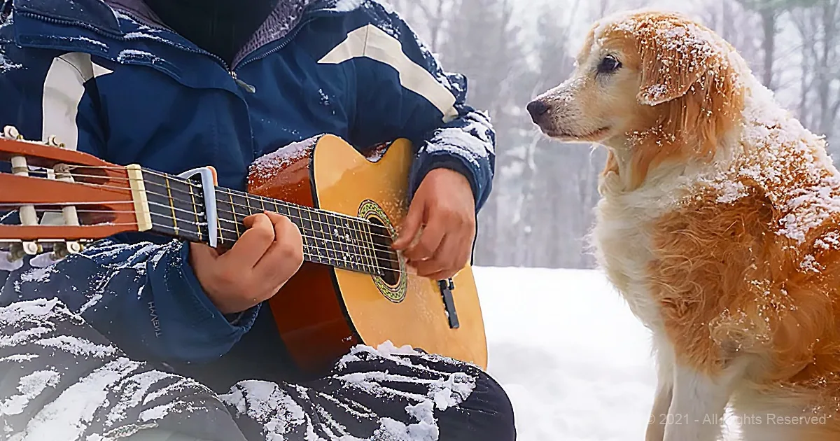 Guitarist Beautifully Plays Coldplay Song While Loving Dog Watches