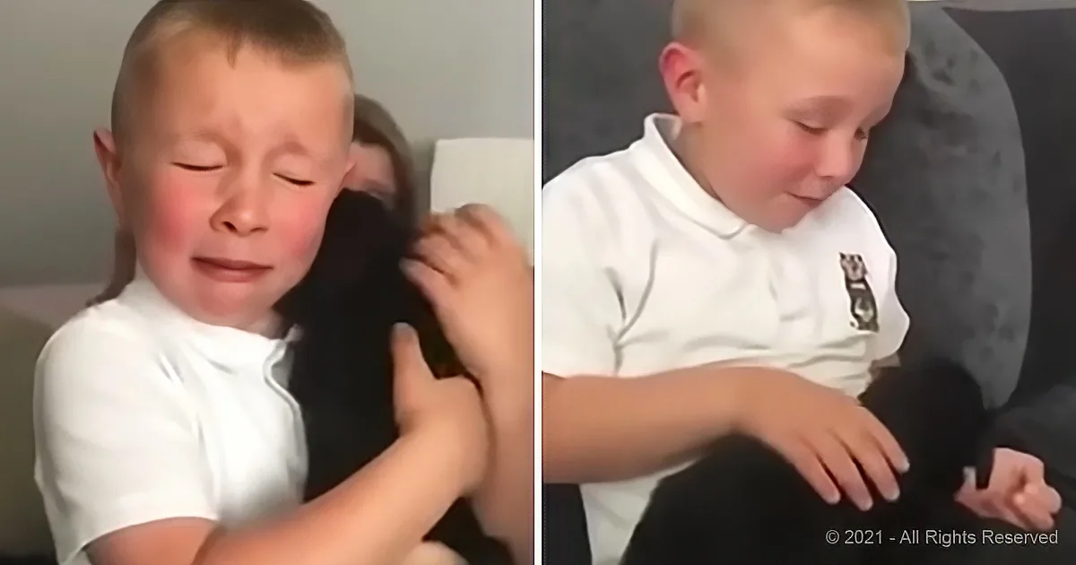 Bullied Boy Sobs Uncontrollably When Grandma Gets Him a Puppy