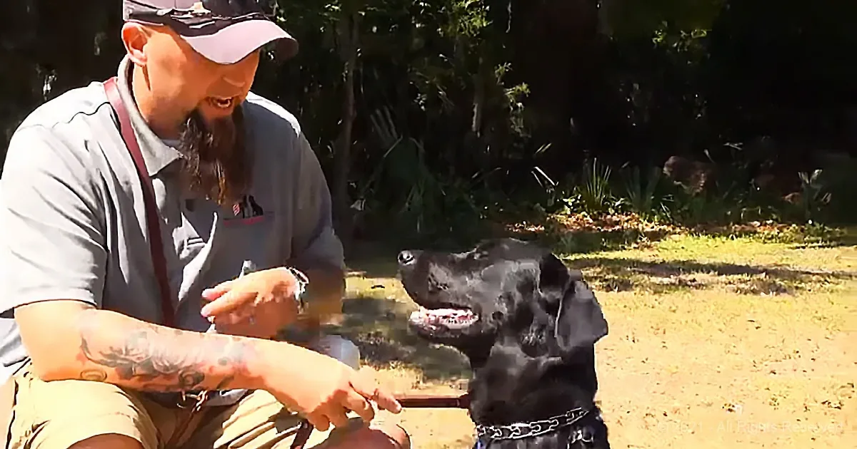 K9 Therapist Helps War Veteran With Survivor's Guilt