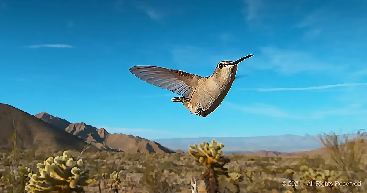 A hummingbird soars gracefully against a backdrop of clear blue sky and distant mountains.