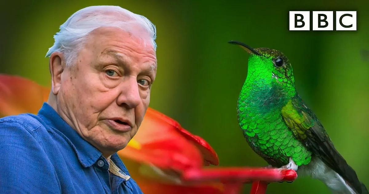 High Quality Video of a Stunning, Rare Moment Humans Don't Often See