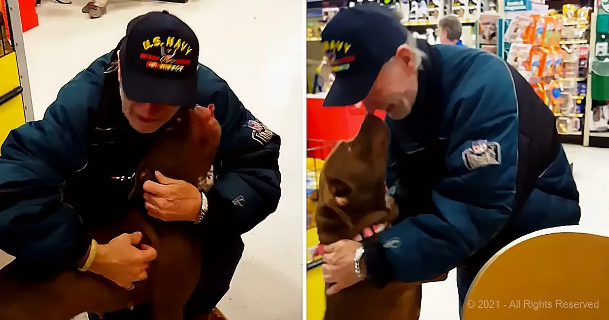Veteran Who Suffered Heart Attack Gets His Dogs Back
