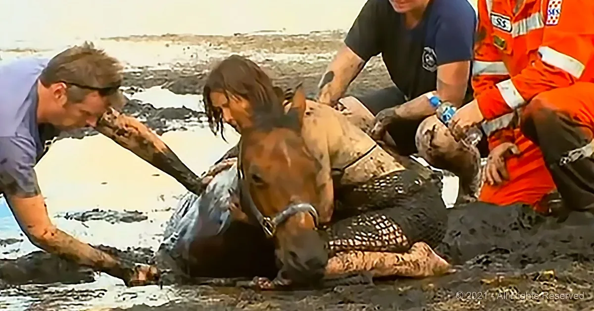 A horse is being rescued from mud by people in orange uniforms and blue shirts.