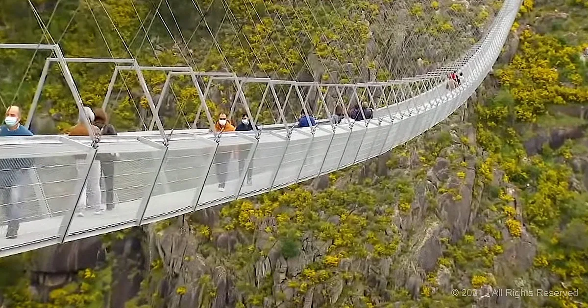 World's Longest Walking Bridge Will Leave You Breathless