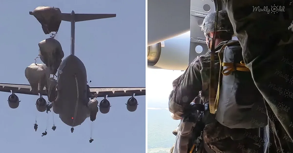 Paratroopers are jumping from a military aircraft, descending with parachutes against a clear sky.