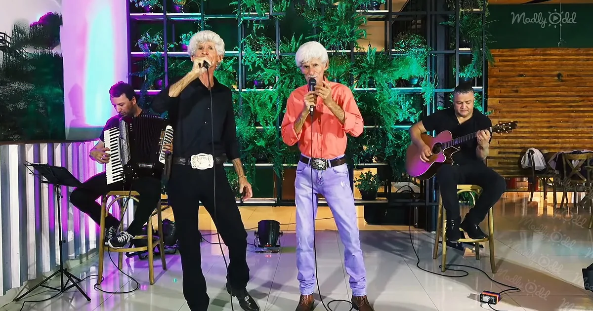 Two men in white hair sing on stage with a musician playing accordion and another with guitar.