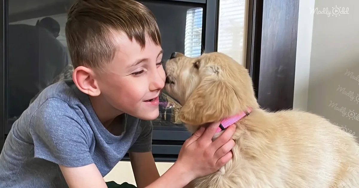 Boy With One Leg Befriends Puppy With Missing Paw