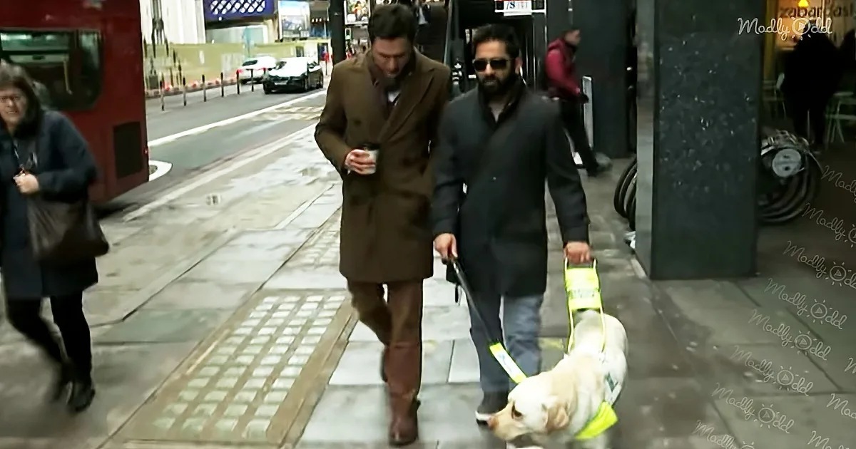 Two men walk on a city sidewalk, one holding a dog on a leash, while another carries a drink.